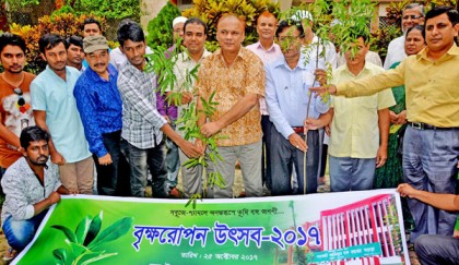 আজিজুল হক কলেজে ৩ শতাধিক বৃক্ষ রোপন