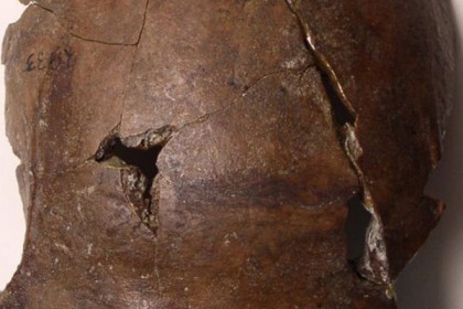 বিশ্বের প্রাচীনতম মানব খুলির সন্ধান