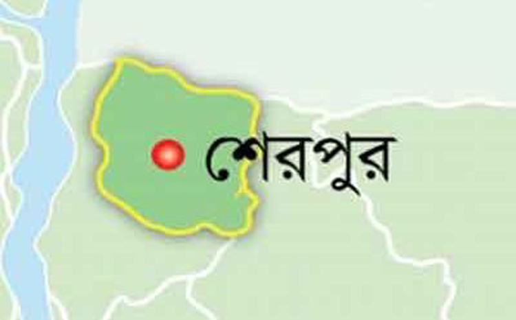 শেরপুরে আ.লীগের দু'গ্রুপের পৃথক বিক্ষোভ সমাবেশ, উত্তেজনা