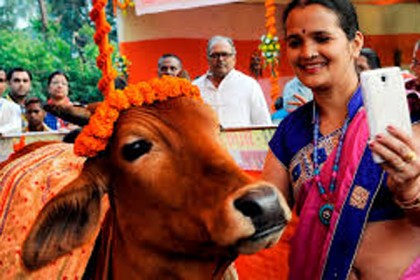 গরু রক্ষায় কলকাতায় 'কাউফি'!