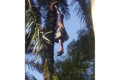 নাটোরে বিদ্যুৎস্পৃষ্ট হয়ে গাছেই  মৃত্যু হলো গাছির