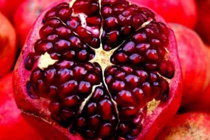 রোগ প্রতিরোধে বেদানা