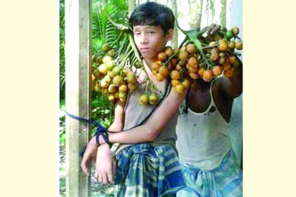 লক্ষ্মীপুরে নিরাপত্তাহীনতায় নির্যাতিত শিশু শাওনের পরিবার
