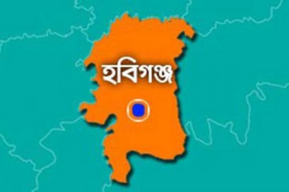 হবিগঞ্জে ৭০ বোতল ভারতীয় মদ জব্দ