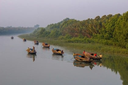 সুন্দরবনে মাছ শিকারের দায়ে কর্মকর্তাসহ বরখাস্ত ৪

