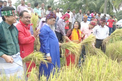 লক্ষ্মীপুরে বর্ণাঢ্য আয়োজনে নবান্ন উৎসব