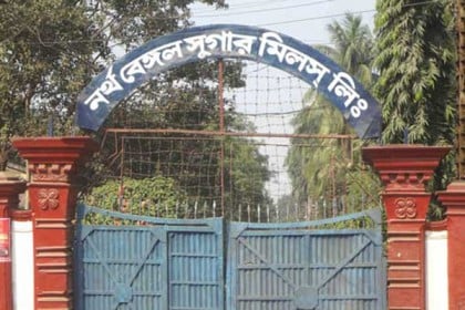 লোকসানের বোঝা মাথায় নিয়ে নাটোরে আখ মাড়াই মৌসুম উদ্বোধন