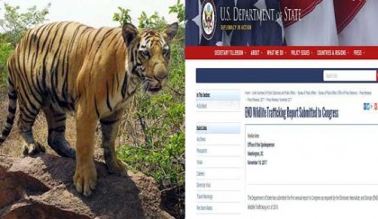 বন্যপ্রাণী পাচারের তালিকায় বাংলাদেশ! 