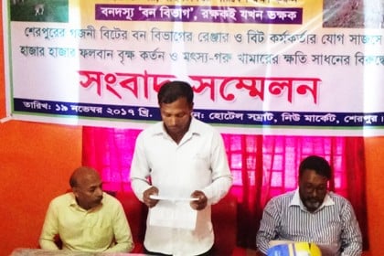 শেরপুরে বন বিভাগের বিরুদ্ধে গাছ কাটার অভিযোগ
