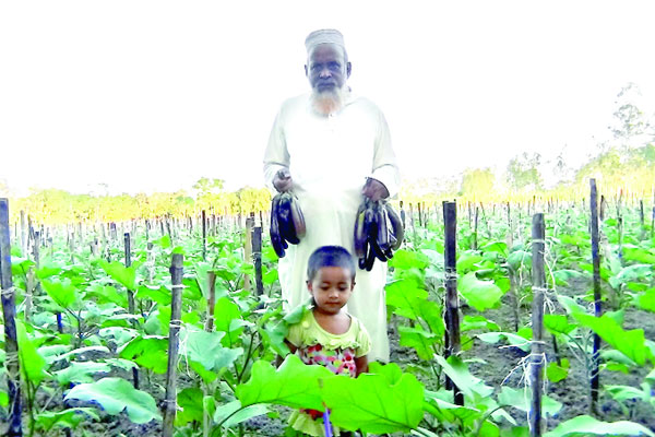 বিশ্ববিদ্যালয় পড়ুয়ার কৃষিজীবন