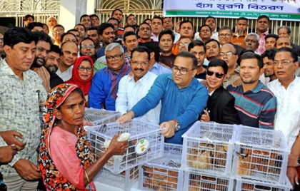 বগুড়ায় দুস্থদের মাঝে হাঁস-মুরগি বিতরণ