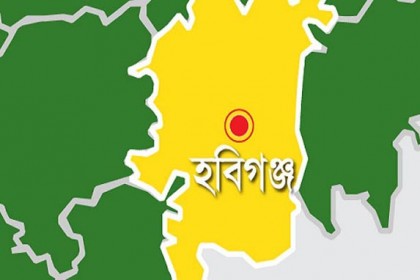 
শায়েস্তাগঞ্জে তিন ব্যবসা প্রতিষ্ঠানকে জরিমানা
