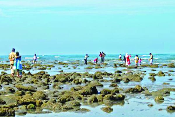 আবার মুখর সেন্টমার্টিন
