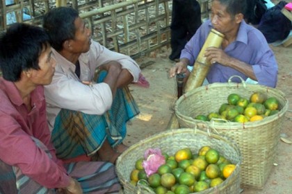 পাহাড়ে রসালো কমলায় সয়লাব