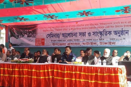 ঘাটাইলে আনন্দ শোভাযাত্রা ও আলোচনা সভা

