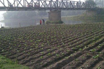 গর্ভেশ্বরী নদীর বুকে সবজি চাষ