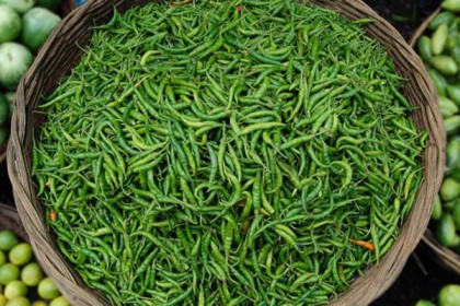 পেঁয়াজের পর এবার বাড়ছে মরিচের ঝাল