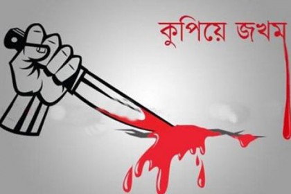 মাদারীপুরে মাদক বিক্রিতে বাধা দেয়ায় একজনকে কুপিয়ে জখম