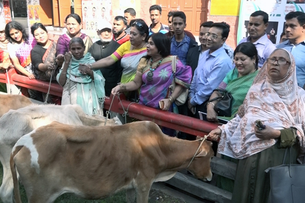 বরিশালে ৩ বীরঙ্গনার মাঝে গরু বিতরন