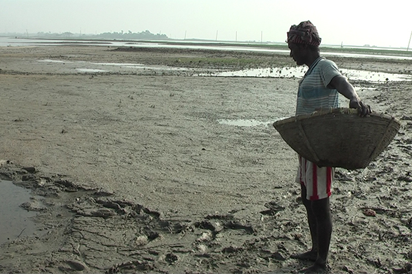 হাওরে ভরা মৌসুমে বোরো আবাদ অনিশ্চিত, হতাশ কৃষক