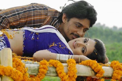 বিপিএল ফাইনালে জায়েদ-পরী