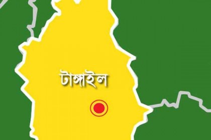 টাঙ্গাইলে ২ কলেজ ছাত্রীকে রড দিয়ে পেটাল বখাটেরা
