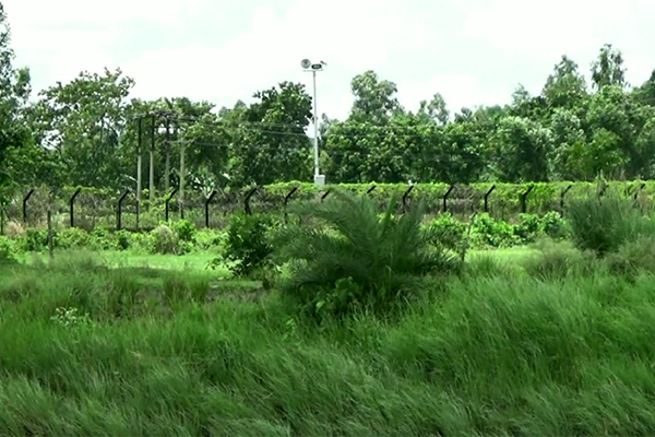 নওগাঁয় সীমান্তে বিএসএফের গুলিতে বাংলাদেশি নিহত 