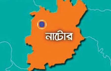 নাটোরে ৯৪০ বোতল ফেনসিডিলসহ ট্রাক জব্দ