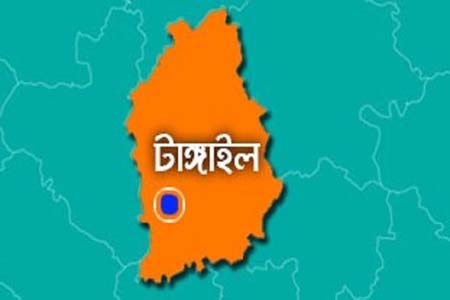 টাঙ্গাইল জেলা বিএনপির সভাপতি, সম্পাদকসহ ২২ নেতাকর্মীর বিরুদ্ধে পাল্টা মামলা