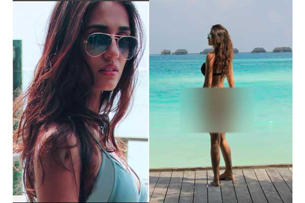দিশাকে 'পর্নস্টার' বলে কটাক্ষ!