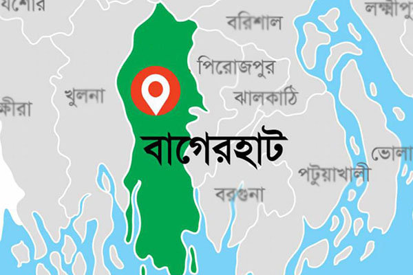 বাগেরহাটে আওয়ামী লীগের আনন্দ মিছিল  