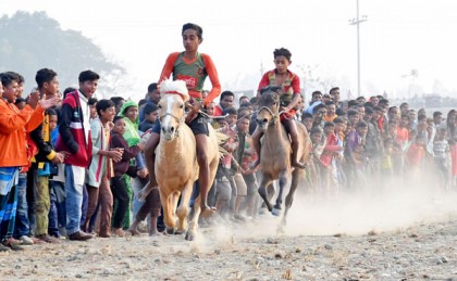 বগুড়ায় ঘোড়দৌড় প্রতিযোগিতা