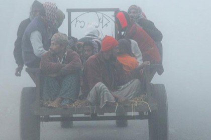 কনকনে শীতে স্থবির নীলফামারী