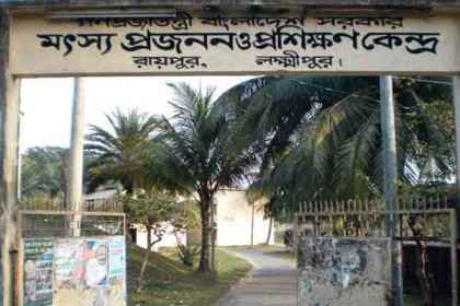 রায়পুরে মৎস্য প্রজনন ও প্রশিক্ষণ কেন্দ্রটি জনবল সংকটে জর্জরিত

