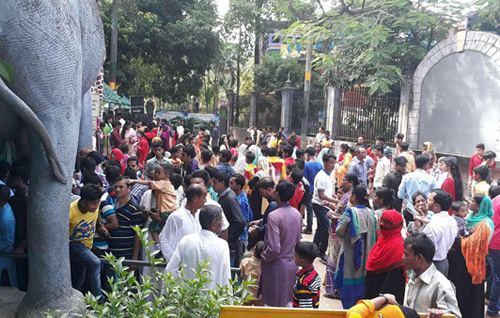চট্টগ্রাম চিড়িয়াখানা; একদিনেই সাত হাজার দর্শনার্থী  