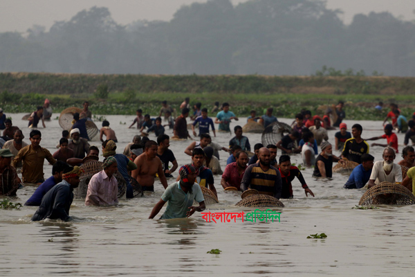 বিশ্বনাথে ঐতিহ্যের 'পলোবাওয়া' উৎসব