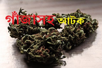 গাইবান্ধায় ২ কেজি গাঁজাসহ নারী মাদক বিক্রেতা আটক