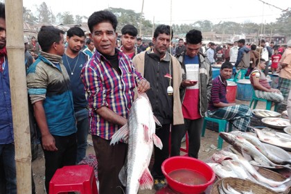 
হবিগঞ্জের মেলায় এক মাছের দাম অর্ধ লাখ টাকা
