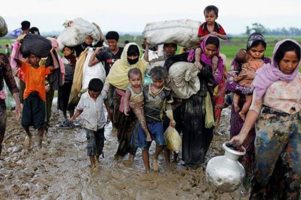 রোহিঙ্গাদের আশ্রয় দেওয়ায় মমতার বিরুদ্ধে কেন্দ্রে নিরাপত্তা এজেন্সির নালিশ 