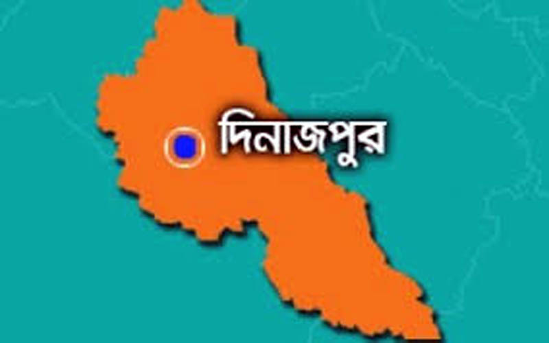 ৯ বছর পর হাকিমপুর পৌর বিএনপির কাউন্সিল
