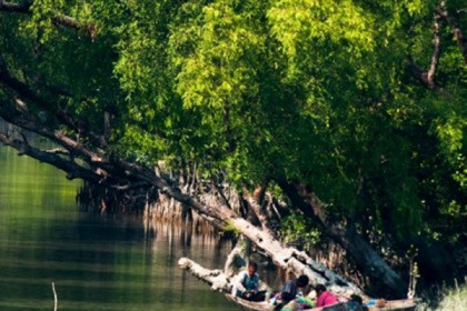 সুন্দরবনে মুক্তিপণের দাবিতে ৪ জেলেকে অপহরণ

