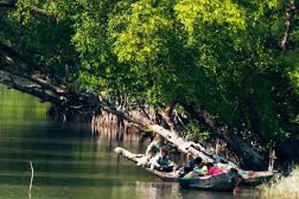 সুন্দরবনে ট্রলারসহ ৪ জেলেকে অপহরণ 
