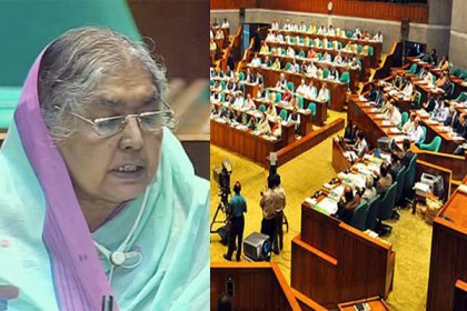 কারাবাস ও ৫০ হাজার টাকা দন্ডের বিধান রেখে সংসদে বীজ বিল পাস

