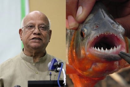 'মানুষখেকো পিরানহার ব্যাপারে সাবধান হতে হবে'