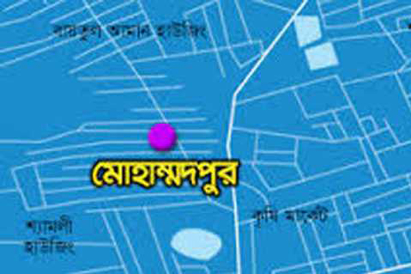 মোহাম্মদপুরে পিকারআপ ভ্যানের ধাক্কায় শিশু নিহত