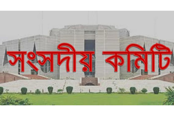 প্রকল্প বাস্তবায়নে আর্থিক অনিয়মে সংসদীয় কমিটির ক্ষোভ