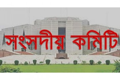 প্রকল্প বাস্তবায়নে আর্থিক অনিয়মে সংসদীয় কমিটির ক্ষোভ