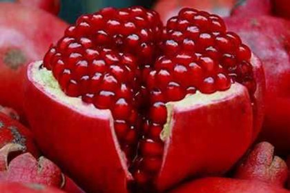 ক্যানসার রোধে বেদানা