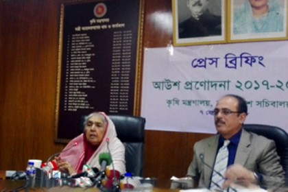 আউশ চাষে কৃষকদের সাড়ে ৩৯ কোটি টাকার প্রণোদনা