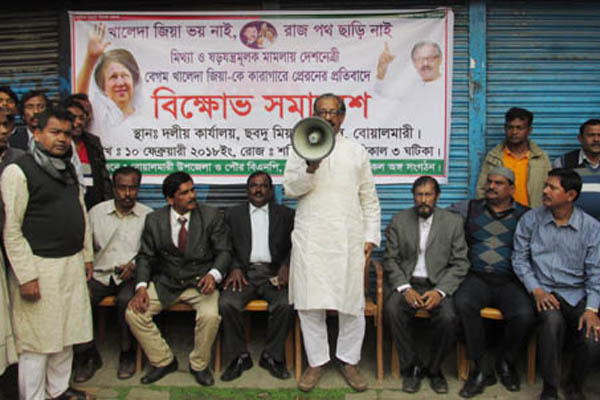 'নির্বাচনে বিপুল ভোটে জয়লাভ করে ক্ষমতায় আসবে বিএনপি'


